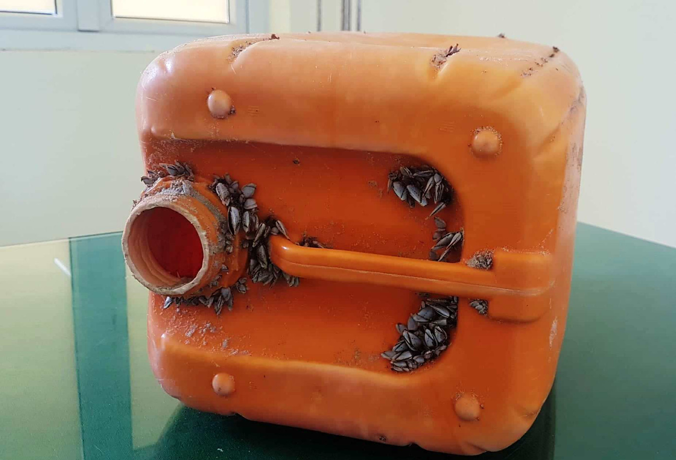 25 bánh heroin dạt ở biển Quảng Nam có liên quan tới 7,8kg nghi ma túy đá ở Huế? ảnh 2