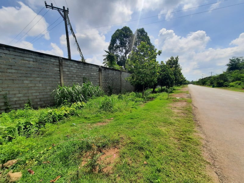 Lãnh đạo tỉnh Bình Dương nói gì khi thanh tra nông trại rộng gần 153 ha? ảnh 1