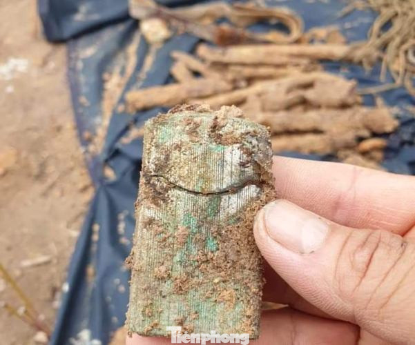 Phát hiện hài cốt liệt sĩ cùng nhiều di vật trong vườn cao su ở Bình Dương ảnh 3