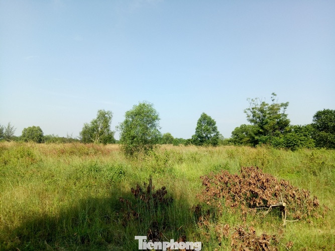 Bị tố vẽ dự án ‘ma’ lừa khách hàng, giám đốc lại đổ lỗi cho nhân viên ảnh 1