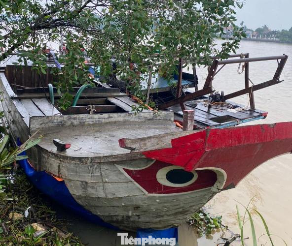 Bình Dương dùng ‘mắt thần’ giăng lưới cát tặc trên sông ảnh 3