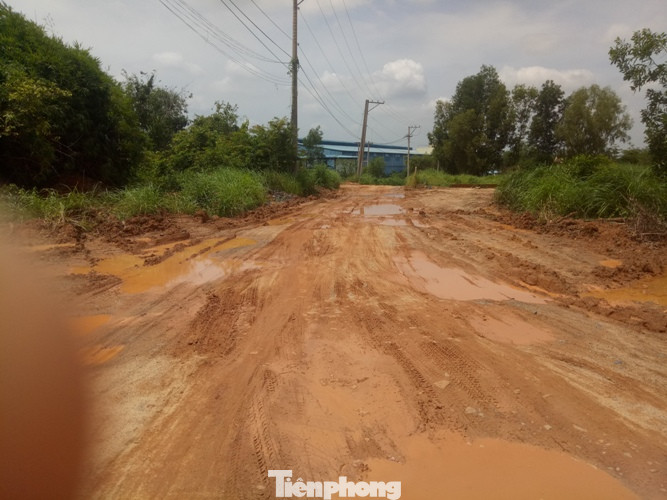 Ngang nhiên ‘dời’ cả khu đồi rộng gần 2 ha mang đi bán ảnh 5