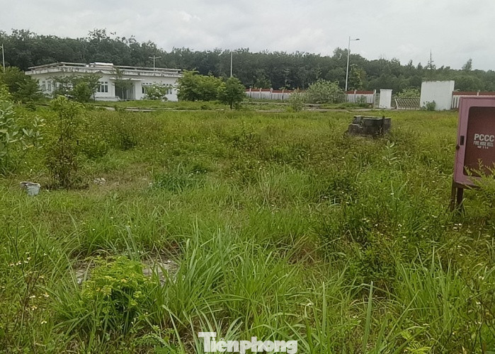 Cận cảnh 3 bệnh viện gần nghìn tỉ xây xong bỏ hoang ảnh 5