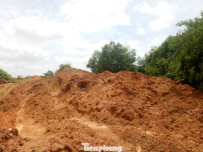 Thông tin mới vụ ‘dời’ đồi mang đi bán ở Bình Dương ảnh 4