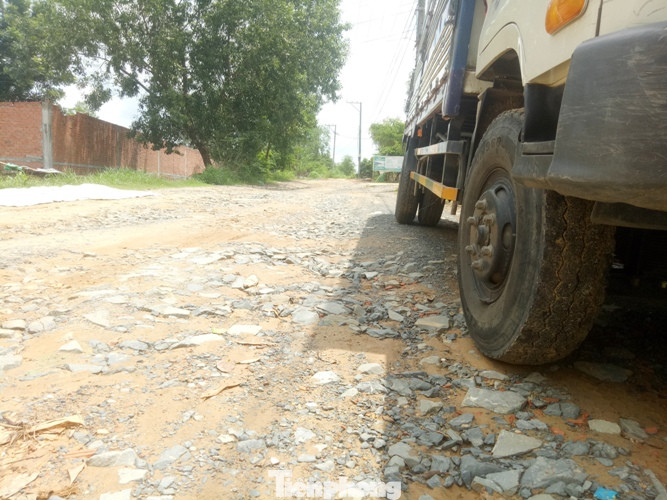 Thông tin mới vụ ‘dời’ đồi mang đi bán ở Bình Dương ảnh 5