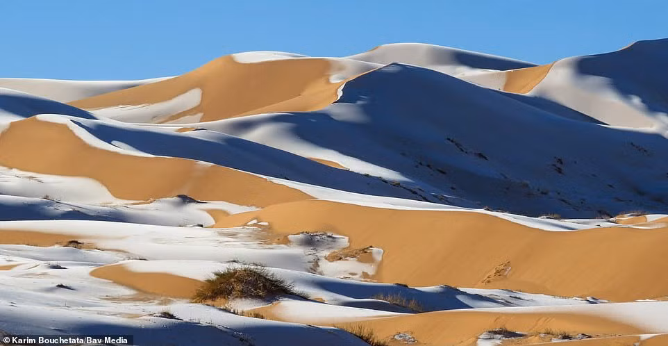 Ngỡ ngàng bộ ảnh tuyết phủ sa mạc Sahara đẹp như mơ ảnh 2
