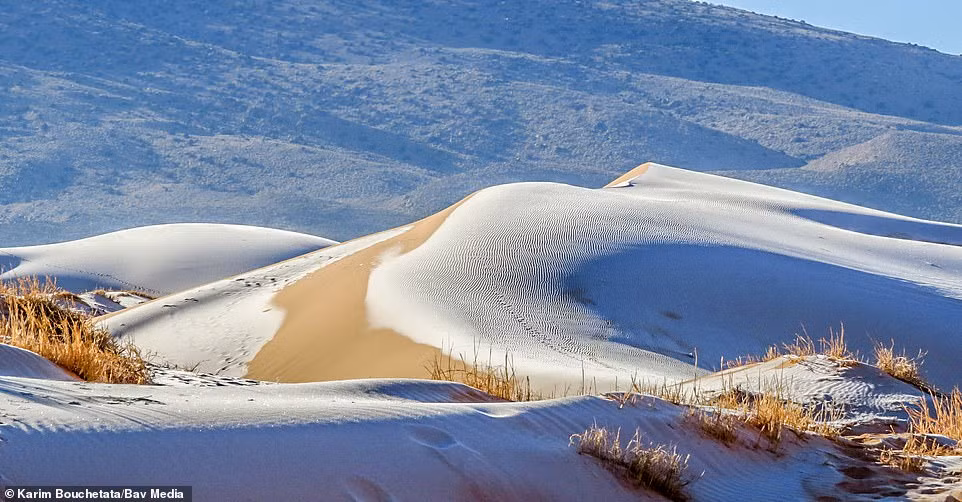 Ngỡ ngàng bộ ảnh tuyết phủ sa mạc Sahara đẹp như mơ ảnh 6