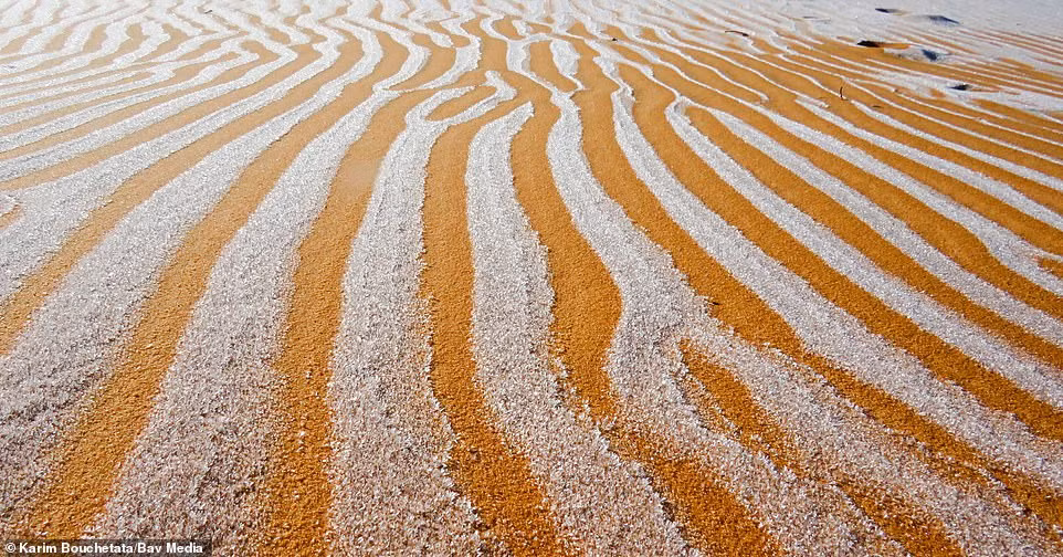 Ngỡ ngàng bộ ảnh tuyết phủ sa mạc Sahara đẹp như mơ ảnh 4