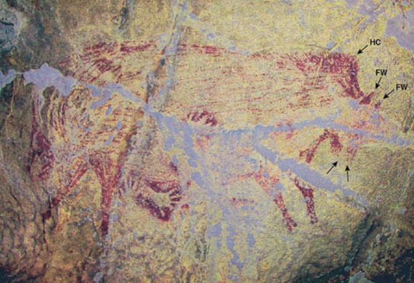 Phát hiện bức tranh hang động cổ xưa nhất thế giới ảnh 2