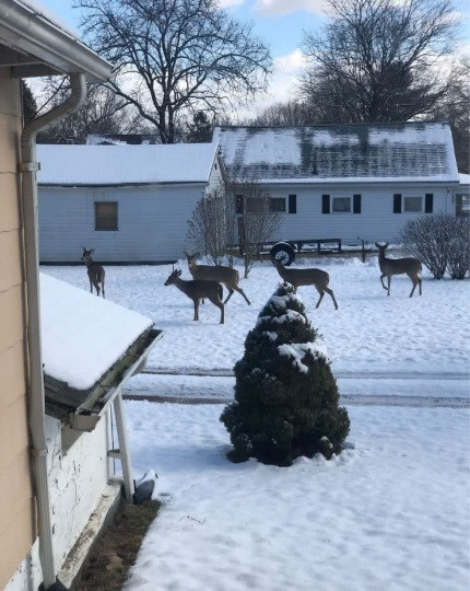 [Hot trend] Thử thách thời COVID-19: Hãy chụp phong cảnh bên ngoài cửa sổ nhà bạn ảnh 2