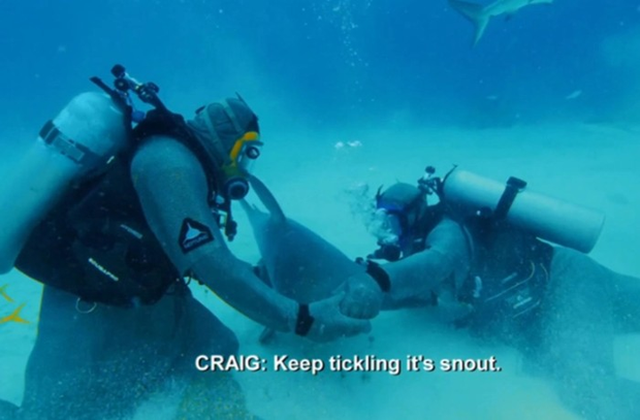 Mục kích tay đấm thép Mike Tyson 'chiến đấu' với cá mập ảnh 1