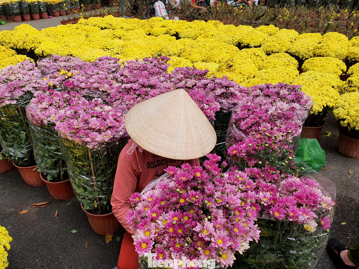 Bonsai mini 'độc lạ' tiền triệu hút khách tại chợ hoa Tết ảnh 2