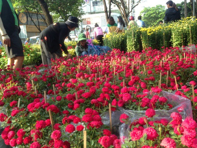TPHCM kêu gọi người dân giải cứu hoa Tết ảnh 3
