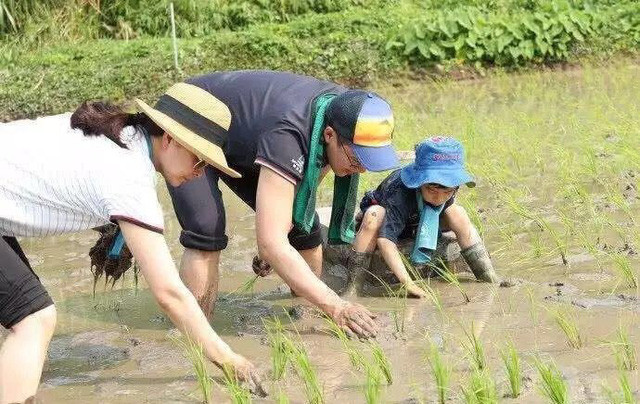 Bất ngờ với cách nuôi dạy con của những 'Nữ hoàng' làng thể thao ảnh 5