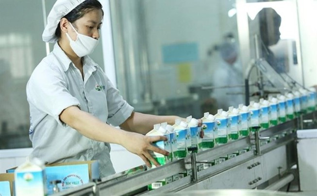 Đẻ 3 lứa vẫn đăng quang 'Hoa hậu' bò sữa Mộc Châu năm 2019 ảnh 6