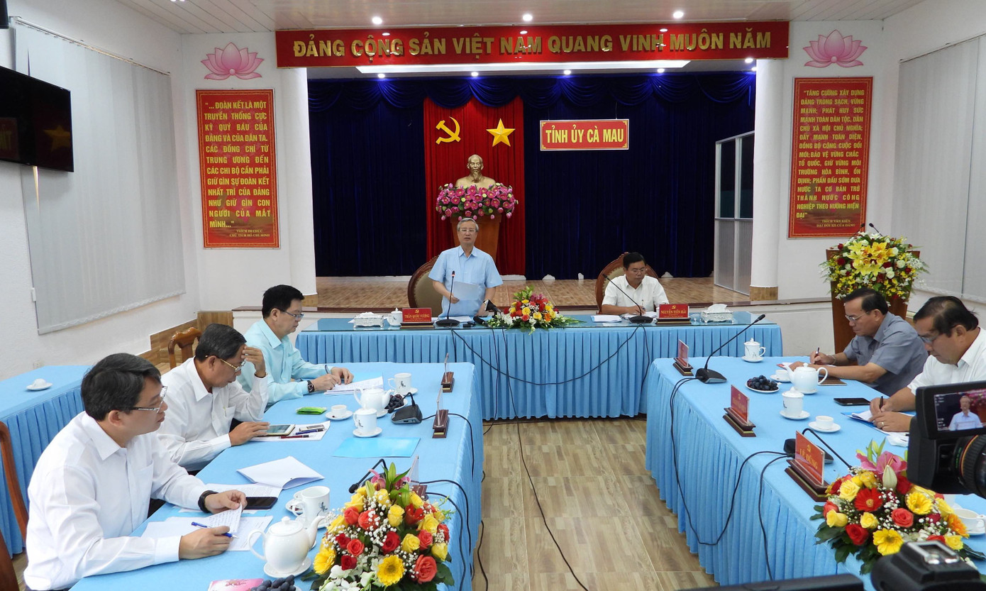 Thường trực Ban Bí thư làm việc với Ban Thường vụ Tỉnh ủy Cà Mau ảnh 1