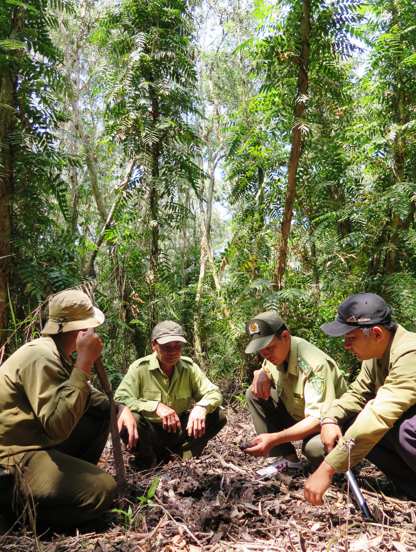 Rừng U Minh Hạ cảnh báo cháy cấp độ 5 cực kỳ nguy hiểm ảnh 4