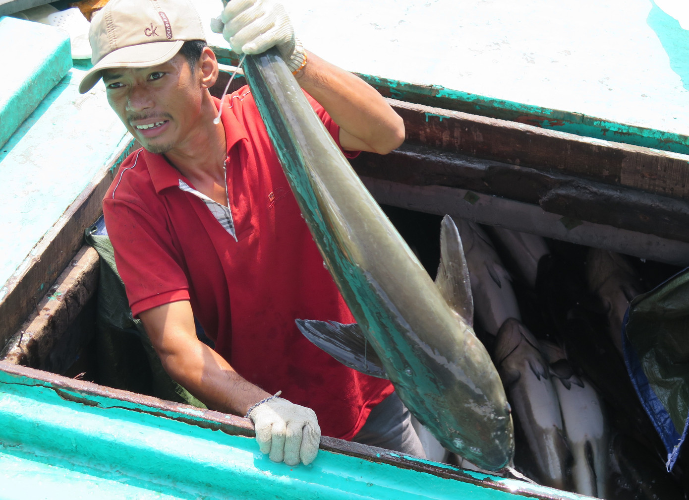 Cà phê kết nối doanh nghiệp ở Đất mũi Cà Mau ảnh 2