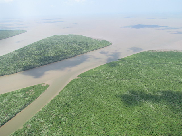 Cách chức giám đốc, phó giám đốc vườn quốc gia Mũi Cà Mau ảnh 3