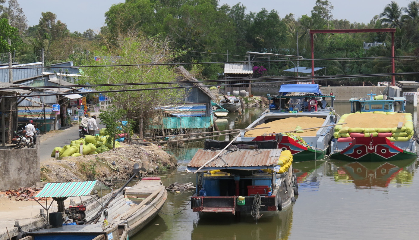 Hạn hán khủng khiếp, đường giao thông ở Cà Mau sụt lún, nứt toác ảnh 5