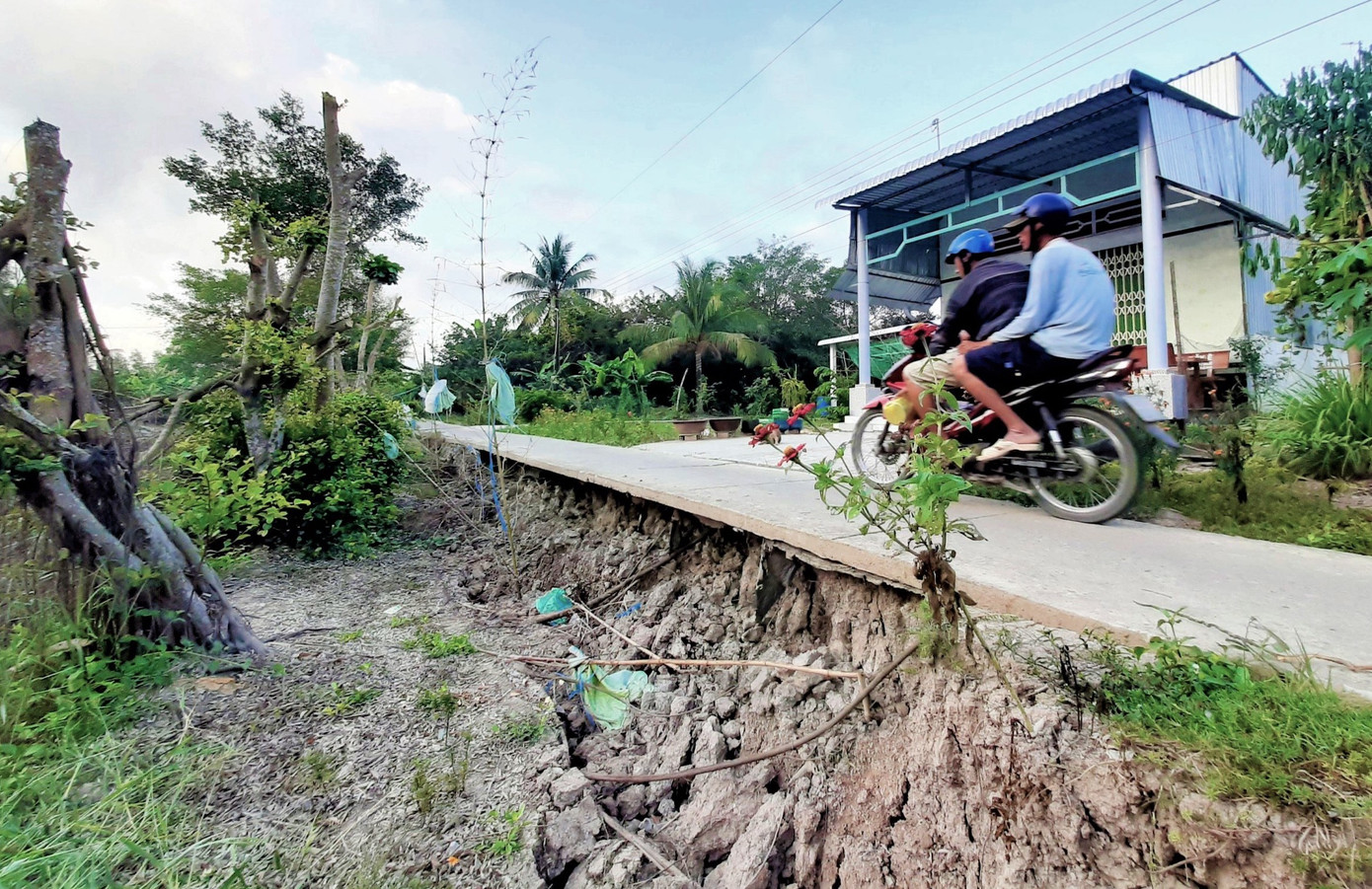 Sụt lún kinh hoàng vùng ngọt hoá Cà Mau ảnh 3