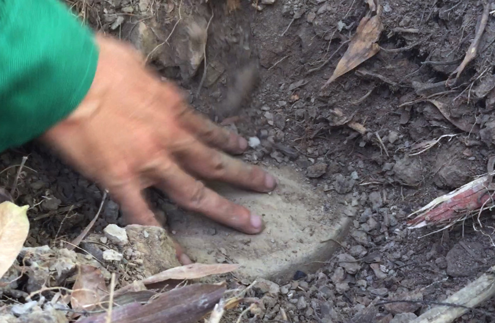 Không chấp nhận cho Cty xử lý rác ngừng hoạt động ảnh 5