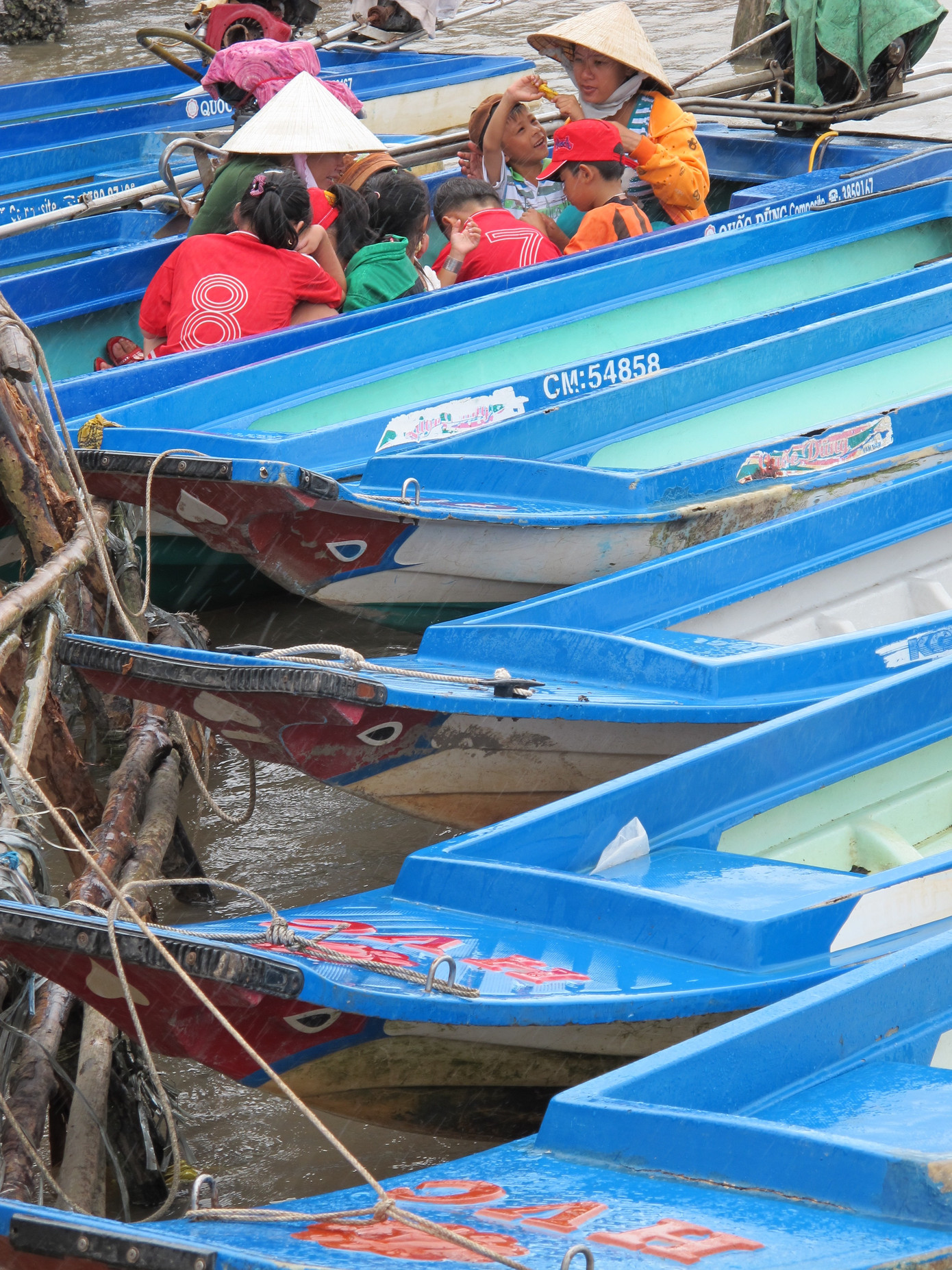 Cà Mau: Ngập diện rộng, một số nơi cho học sinh tạm nghỉ học ảnh 5