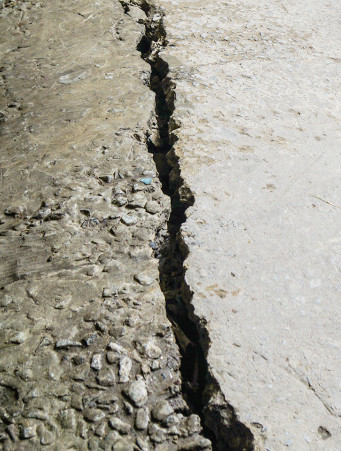 Đường đê biển Tây Cà Mau giãn khe, sụt lún kinh hoàng do khô hạn ảnh 1