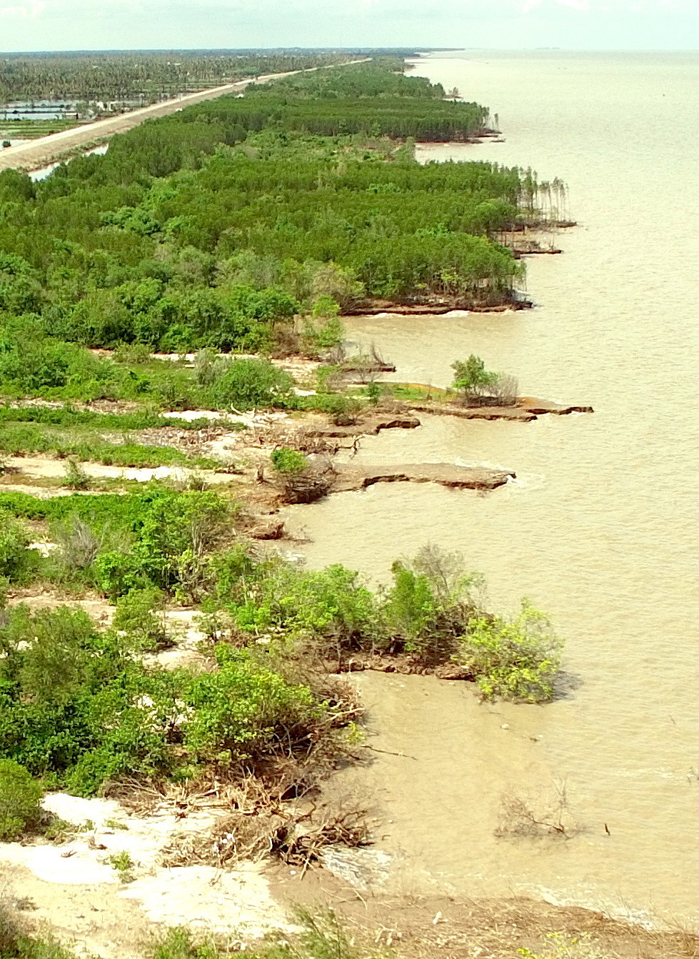 Mùa mưa bão, đê biển Tây Cà Mau đặt trong tình huống khẩn cấp ảnh 3