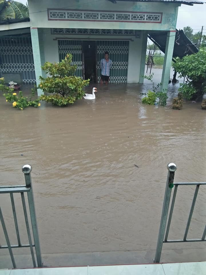 Mưa lớn kéo dài, nhiều khu vực ở Cà Mau ngập nặng ảnh 1