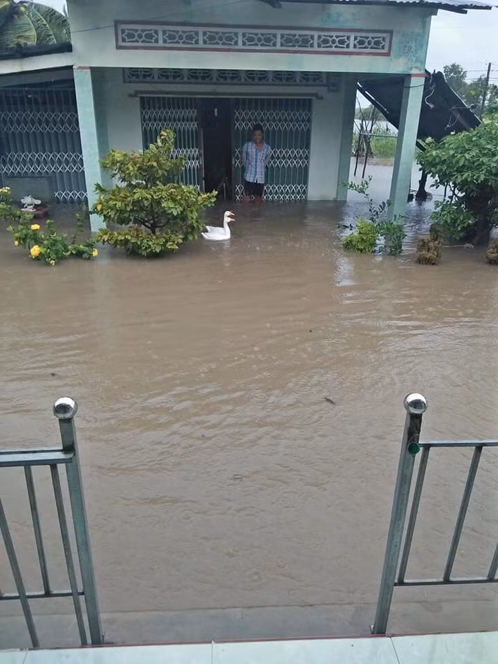 Mưa lớn kéo dài, nhiều khu vực ở Cà Mau ngập nặng ảnh 1