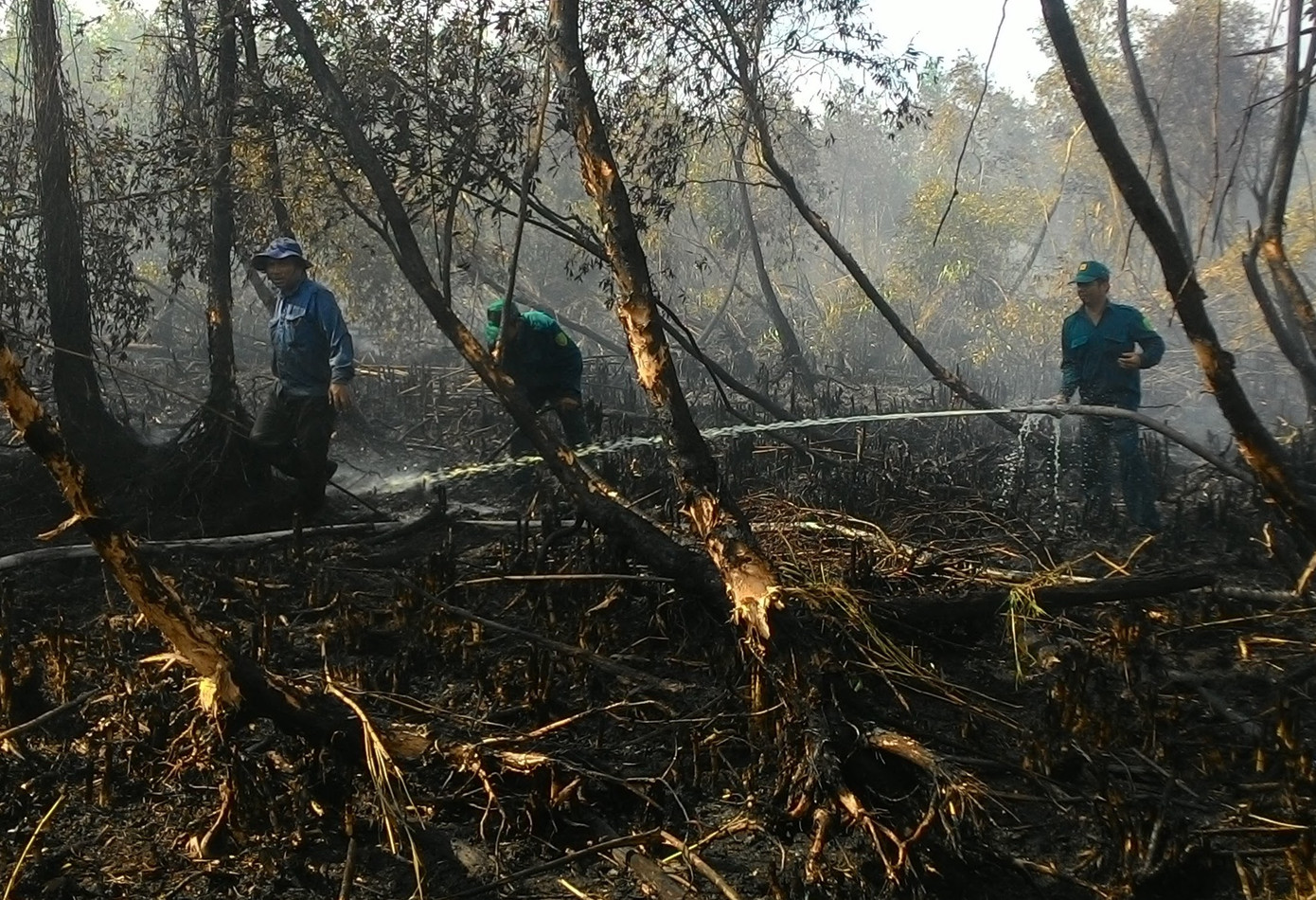 Khô hạn, lâm phần U Minh Hạ cảnh báo cháy cực kỳ nguy hiểm ảnh 4