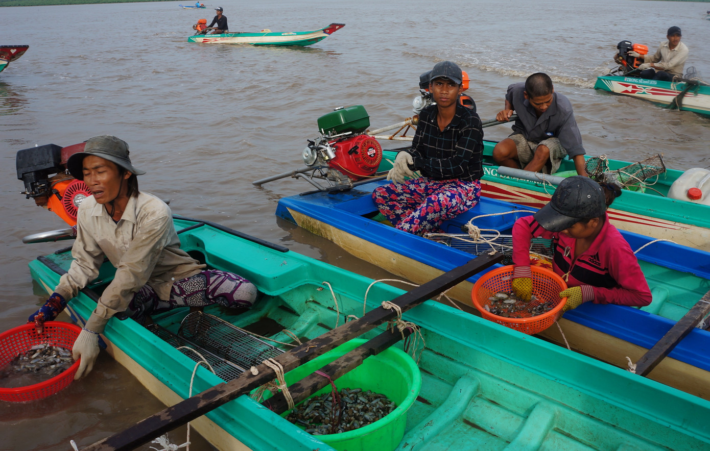 Cách chức giám đốc, phó giám đốc vườn quốc gia Mũi Cà Mau ảnh 2