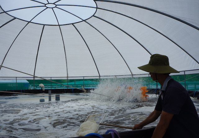 Cà phê kết nối doanh nghiệp ở Đất mũi Cà Mau ảnh 4