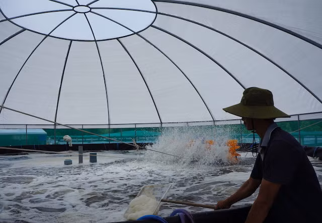 Cà phê kết nối doanh nghiệp ở Đất mũi Cà Mau ảnh 4