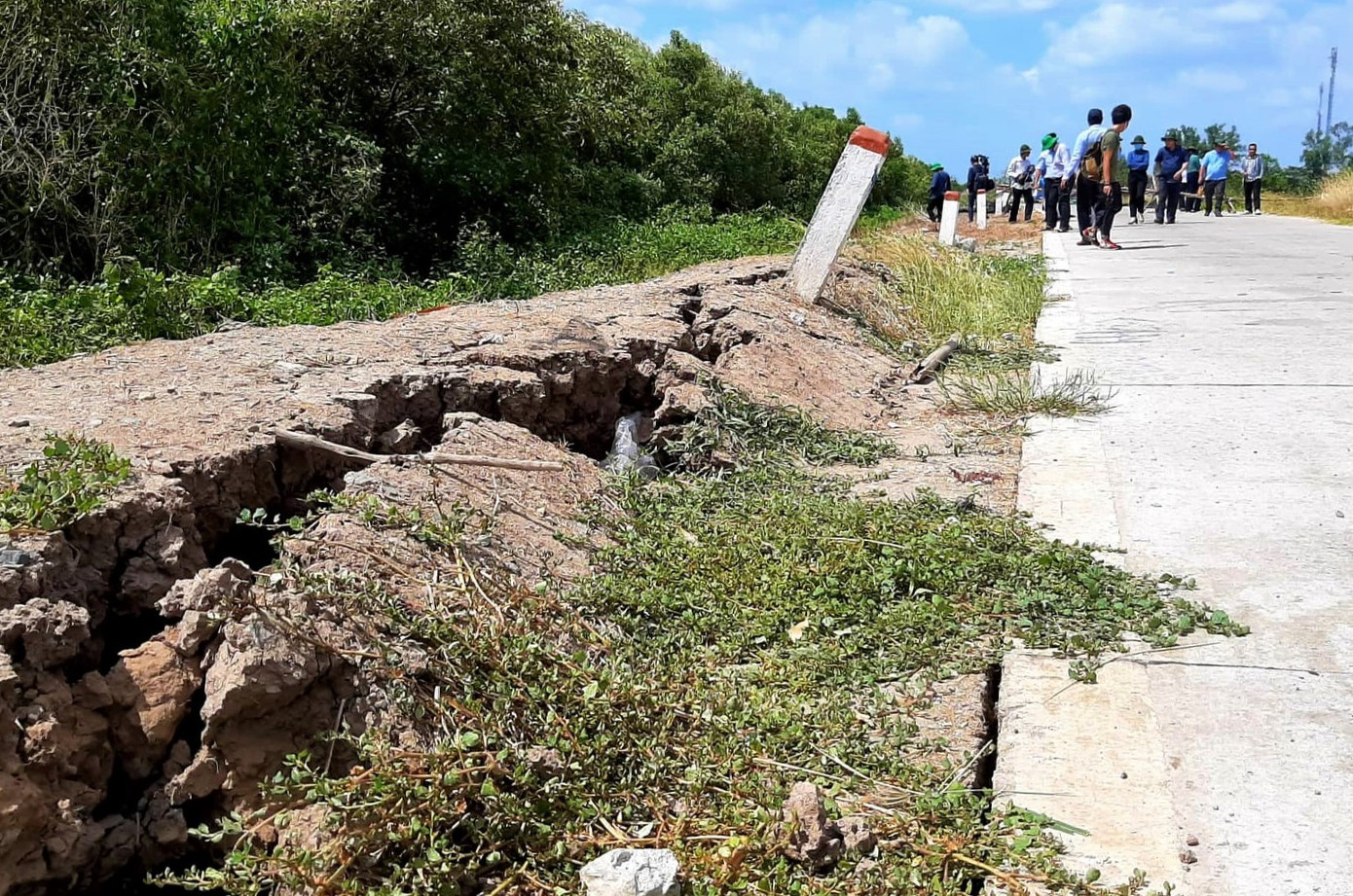 Kinh hoàng sụp lún, sạt lở đất chưa từng thấy ở Cà Mau ảnh 5