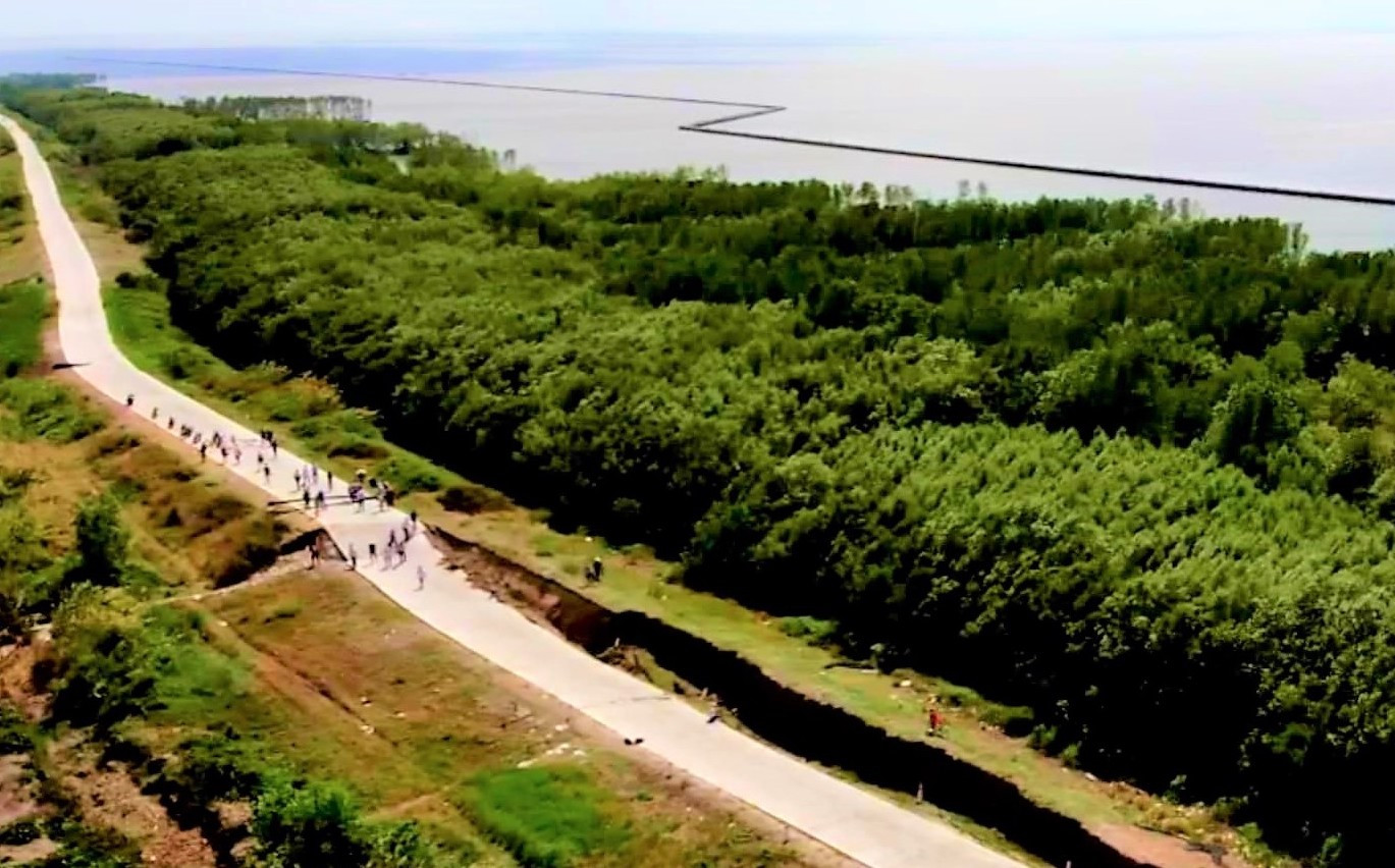 Kinh hoàng sụp lún, sạt lở đất chưa từng thấy ở Cà Mau ảnh 2