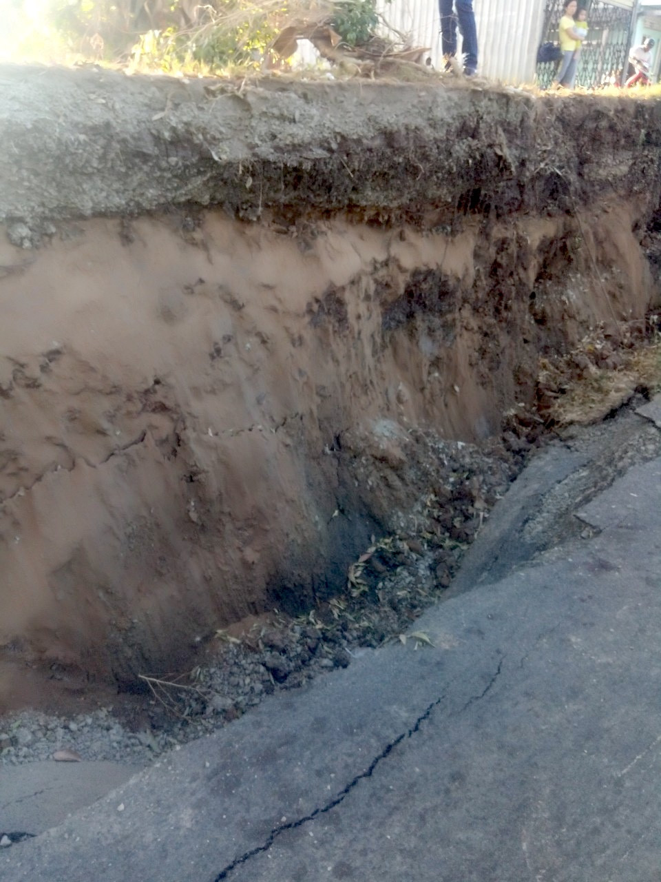 Sụt lún kinh hoàng vùng ngọt hoá Cà Mau ảnh 2