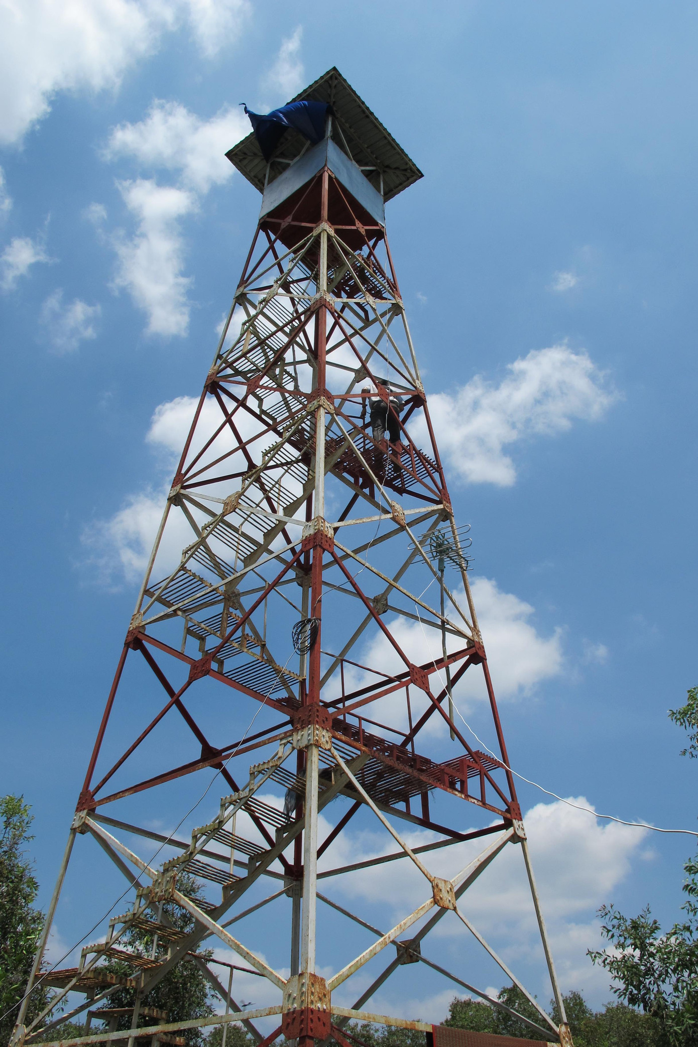 Rừng U Minh Hạ cảnh báo cháy cấp độ 5 cực kỳ nguy hiểm ảnh 1