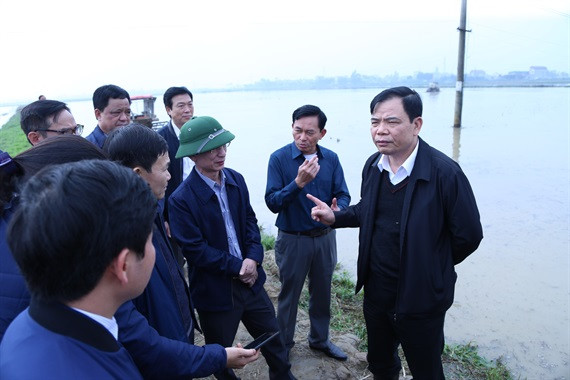 Sau Tết, nông dân miền Bắc lo lấy nước gieo cấy 250.000 ha lúa Đông Xuân ảnh 1