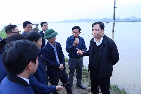 Sau Tết, nông dân miền Bắc lo lấy nước gieo cấy 250.000 ha lúa Đông Xuân ảnh 1