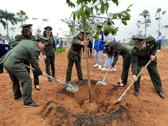 Phó Chủ tịch nước phát động 'Tết trồng cây' tại khu di tích Đền Hùng ảnh 1