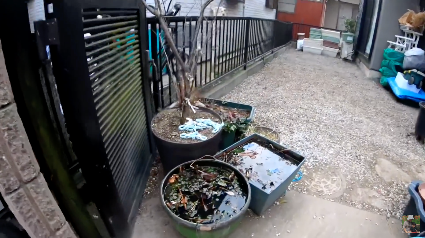 Không chỉ tiết lộ những bất đồng trong hôn nhân, Quỳnh Trần JP còn chia sẻ về phòng trọ cũ xập xệ ảnh 1