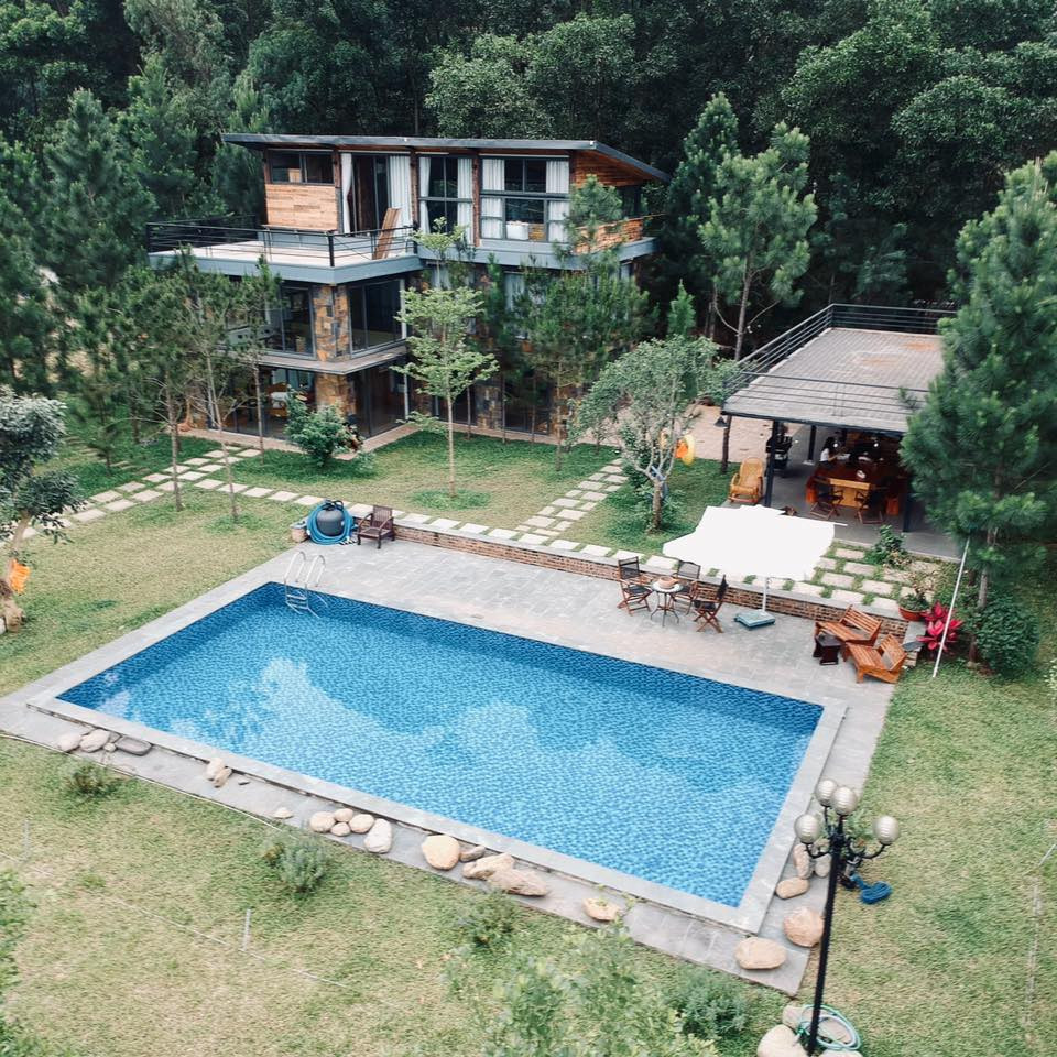 Tha hồ “sống ảo” ở villa nhà kính giữa rừng thông cách trung tâm Hà Nội 1 tiếng chạy xe! ảnh 2