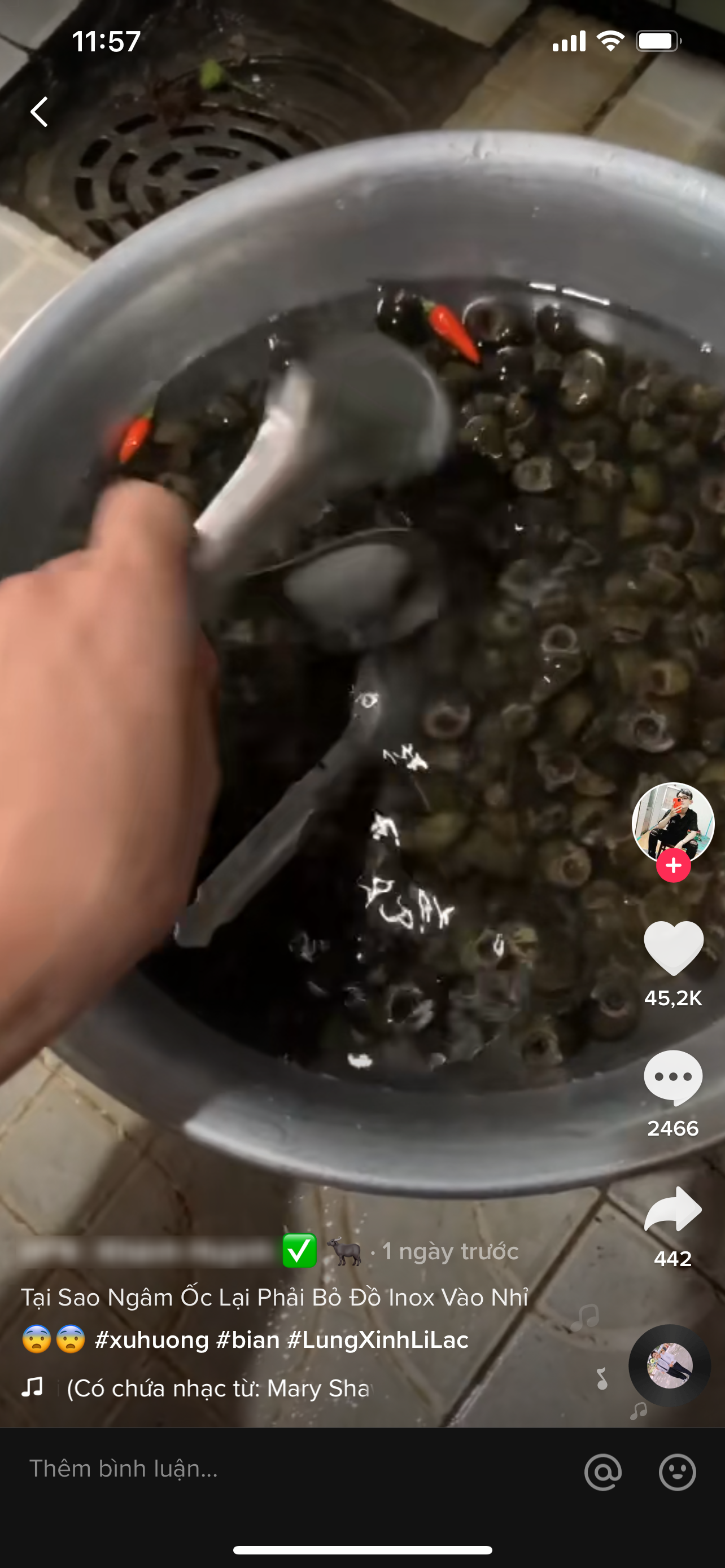 Chàng trai hỏi “Tại sao ngâm ốc phải bỏ đồ inox vào”, dân mạng đưa ra loạt câu trả lời “bá đạo“ ảnh 1