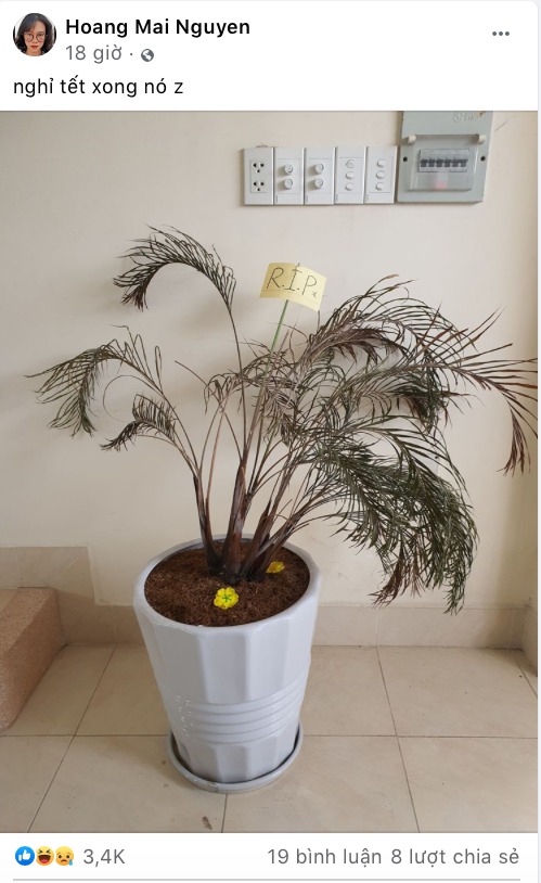 Tình hình đi học những ngày đầu năm: Hào hứng lì xì nhau, có teen quên cách cầm bút ảnh 6