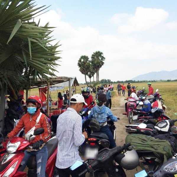 Rủ ngay hội bạn thân tới chụp ảnh “sống ảo” với cây thốt nốt hình trái tim ở An Giang nào! ảnh 5