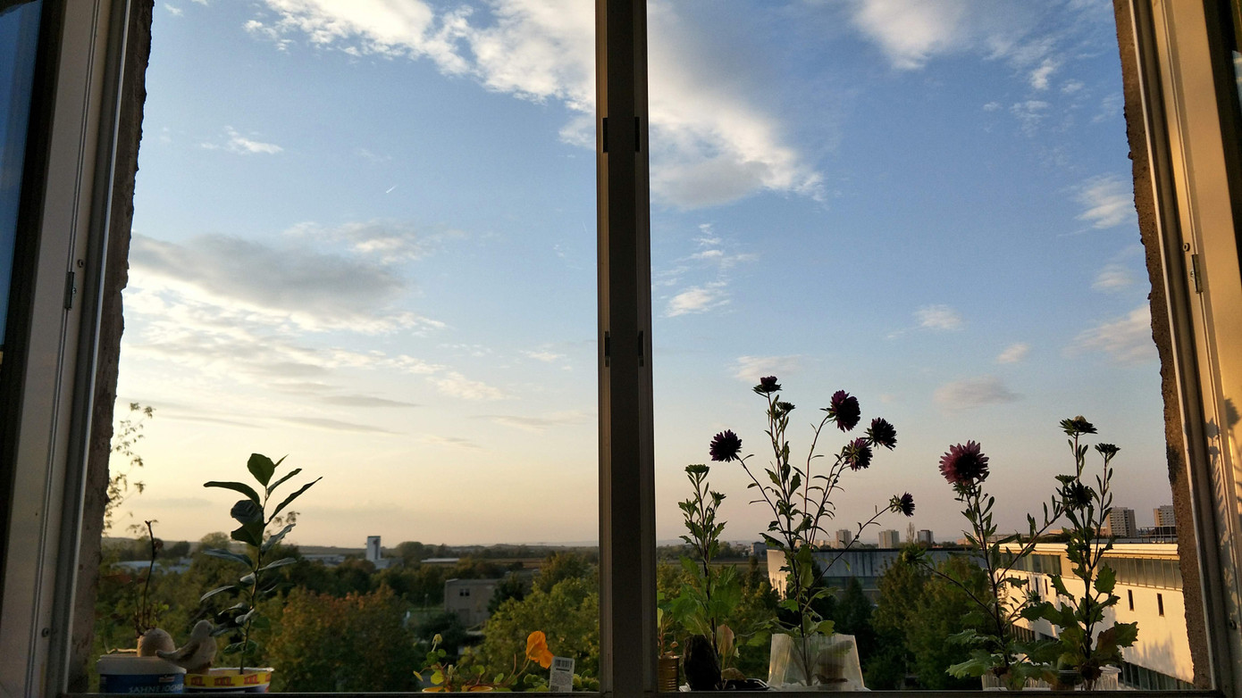 Du học sinh Việt tại Đức chia sẻ bí kíp cắt giảm một nửa chi tiêu để sống sót trong mùa dịch ảnh 8