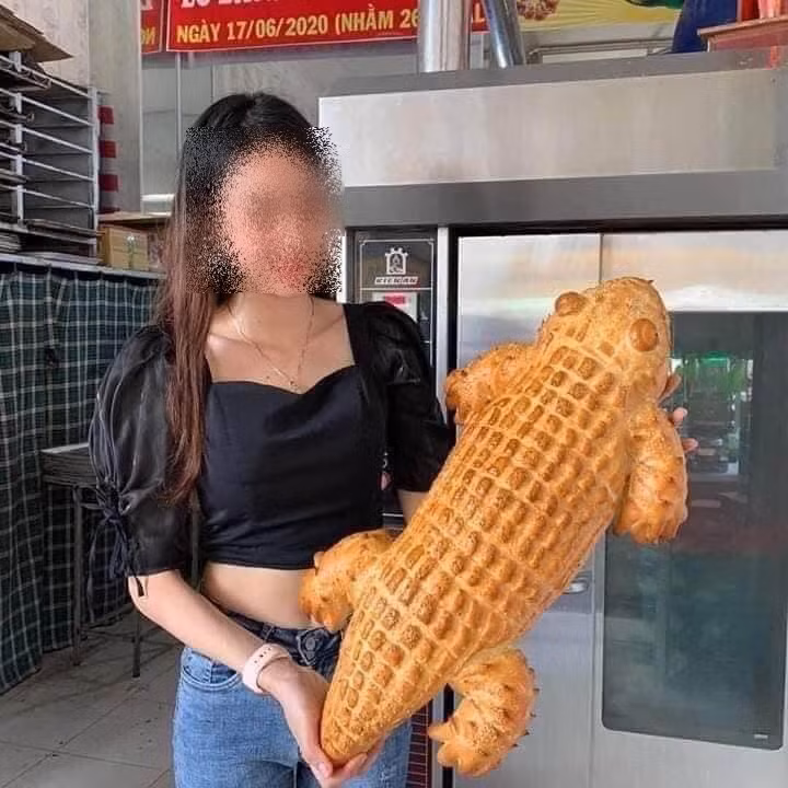 Cô gái đặt mua bánh mì cá sấu qua mạng, lúc nhận hàng không biết nên khóc hay nên cười ảnh 1