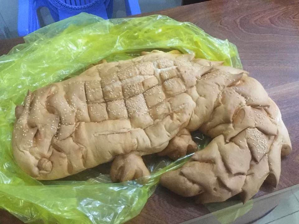 Cô gái đặt mua bánh mì cá sấu qua mạng, lúc nhận hàng không biết nên khóc hay nên cười ảnh 3